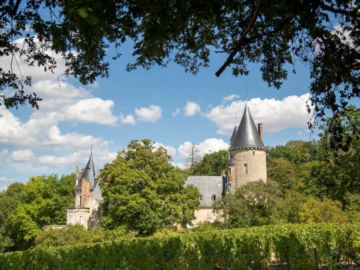 Balade Groupée - Au Cœur des Vignes - Vignerons Indépendants