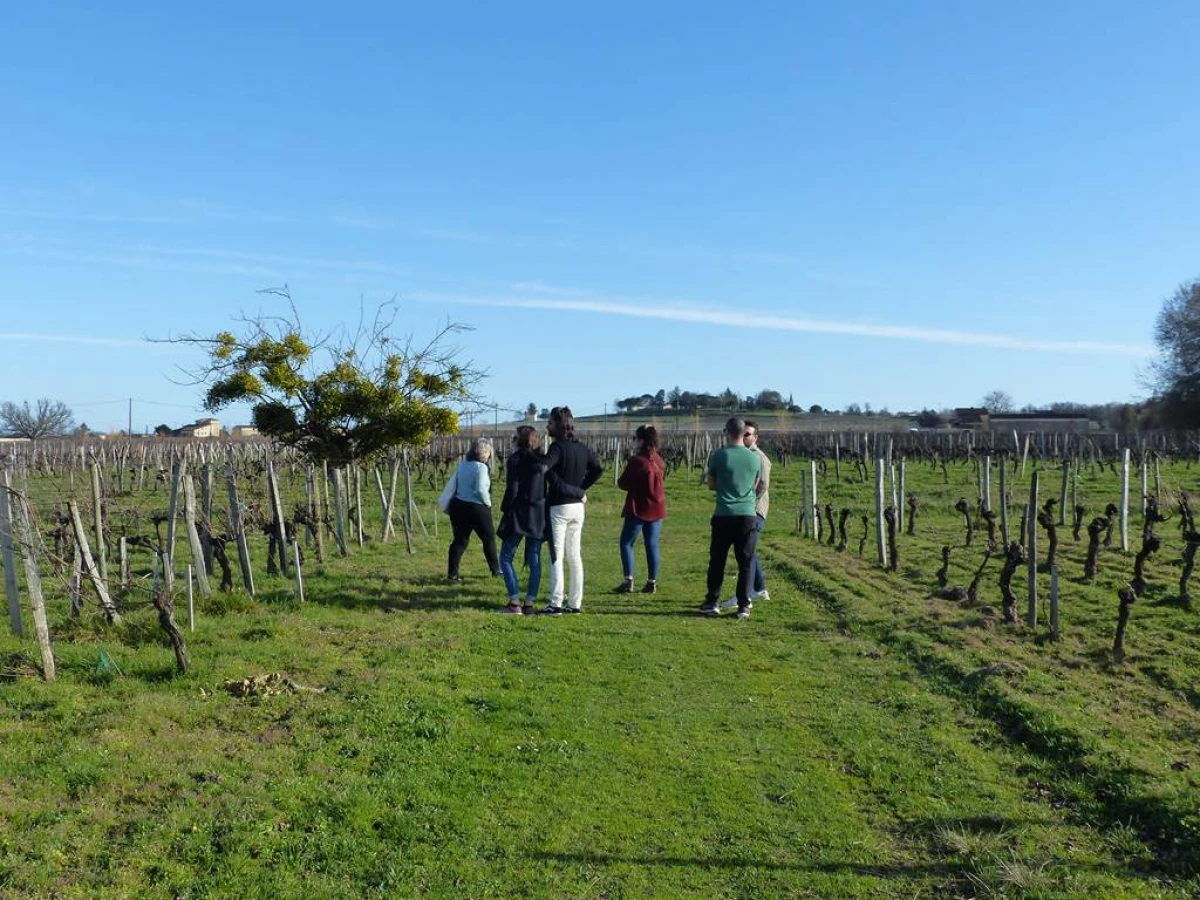 Balade Hivernale et Réconfort au coin du feu - Vignerons Indépendants