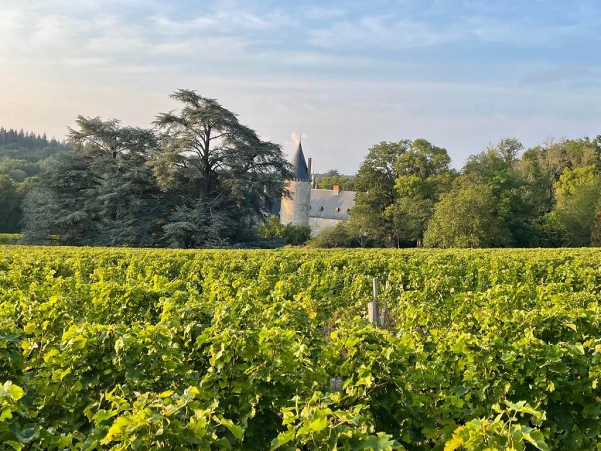 Balade Privée - Au cœur des Vignes - Vignerons Indépendants