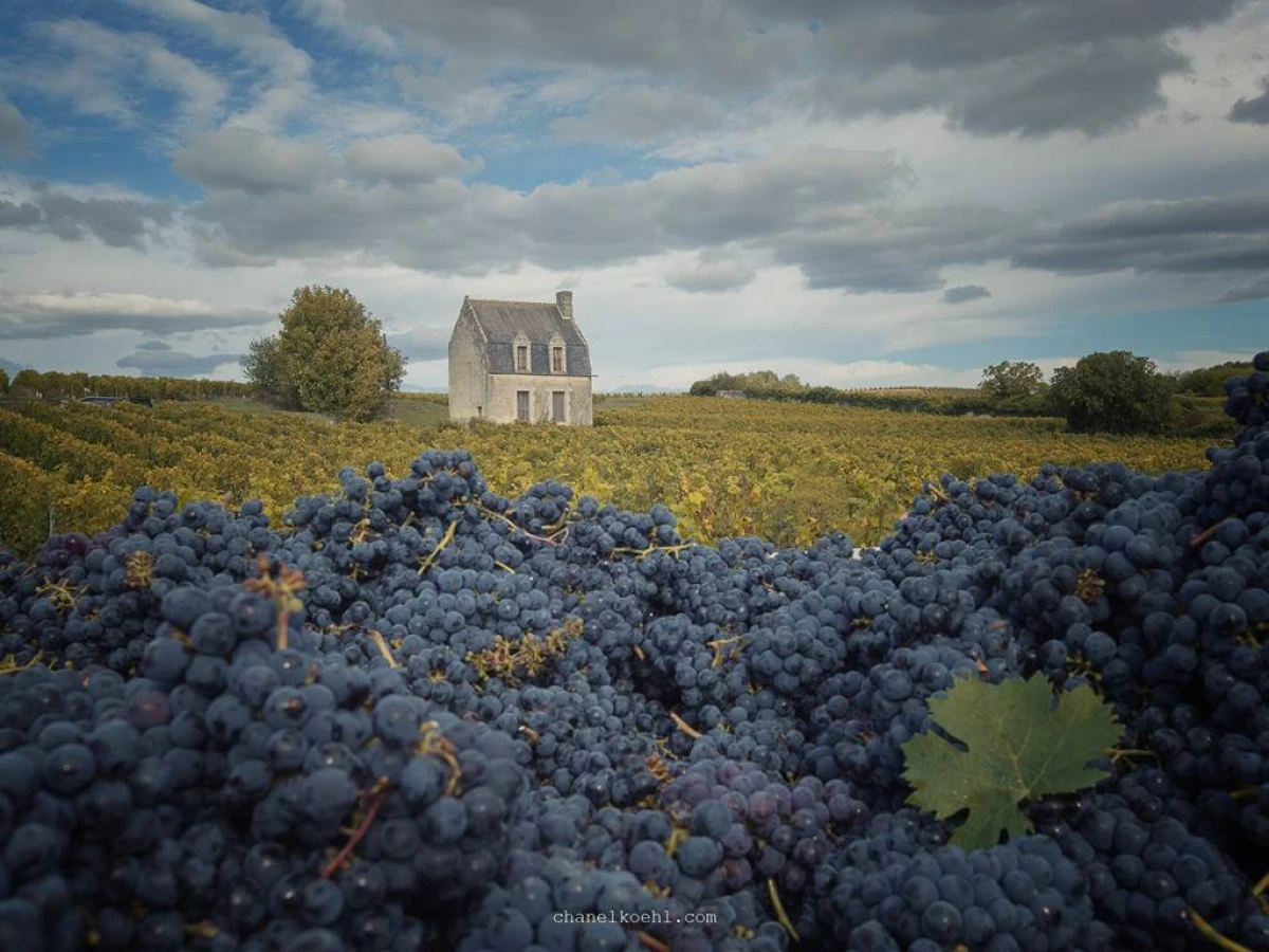 Cave Pierre & Bertrand Couly - Vignerons Indépendants