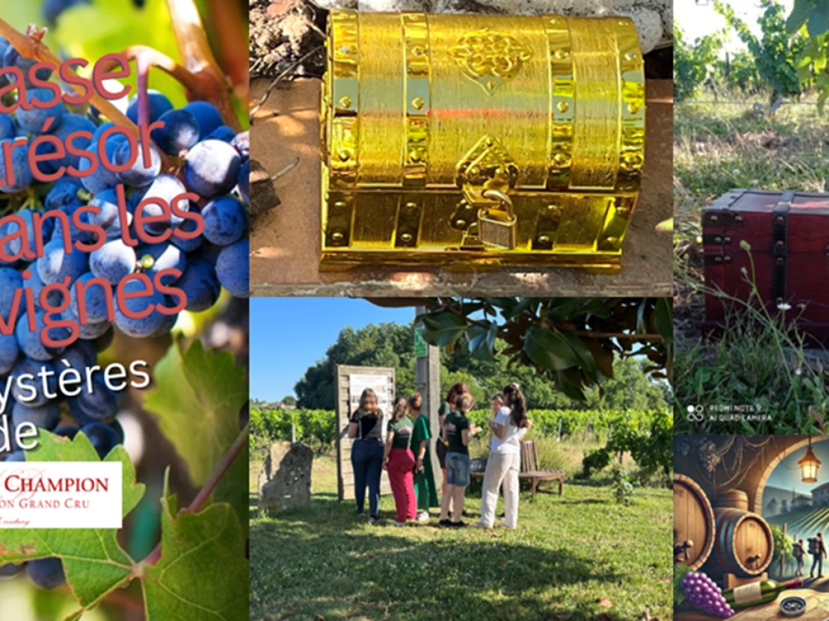 Chasse au Trésor dans le vignoble - Vignerons Indépendants