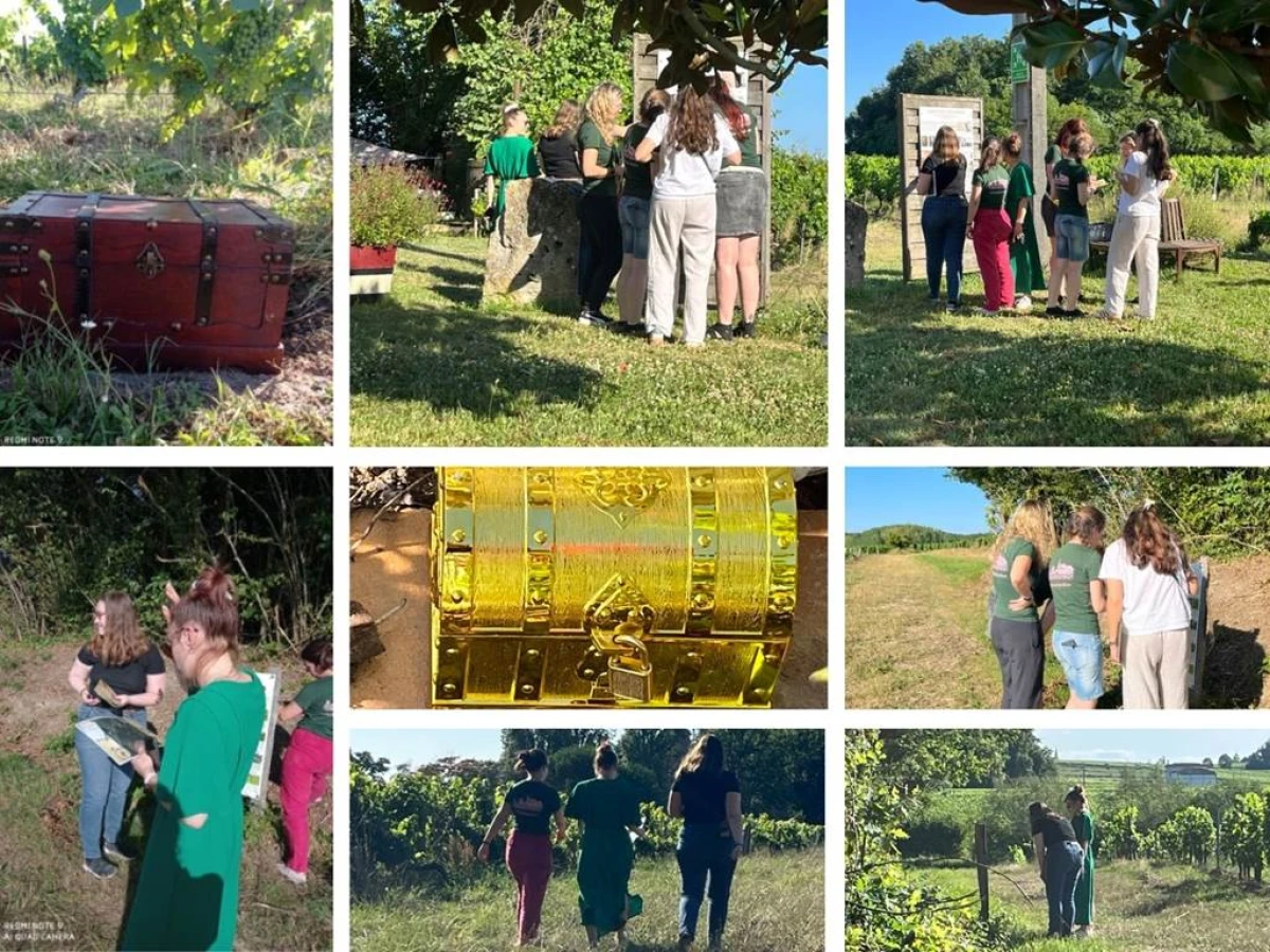 Chasse au Trésor dans le vignoble - Vignerons Indépendants