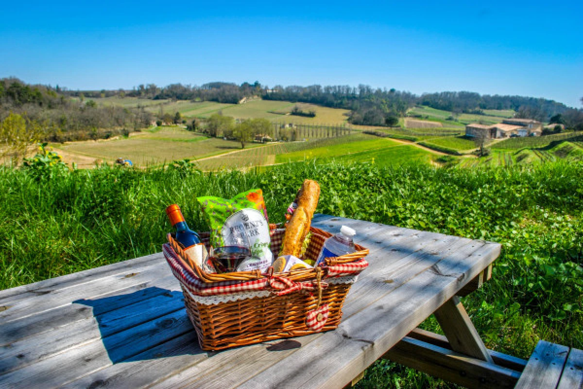 Château La Croizille St-Emilion Grand Cru Classé : Picnic & Visit in English - Vignerons Indépendants