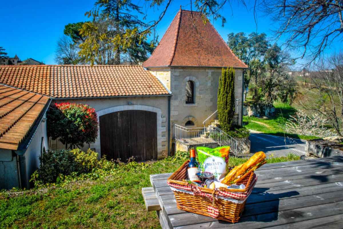 Château La Croizille St-Emilion Grand Cru Classé : Pique Nique & Visite en Français - Vignerons Indépendants