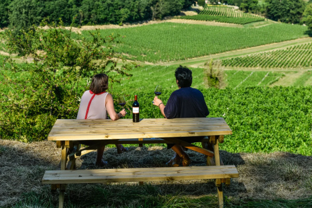 Château La Croizille St-Emilion Grand Cru Classé : Pique Nique & Visite en Français - Vignerons Indépendants