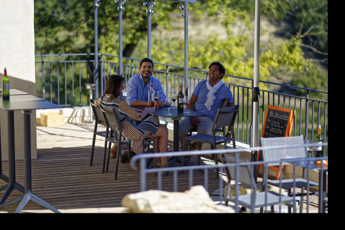 Château La Croizille St-Emilion Grand Cru Classé : Pique Nique & Visite en Français - Vignerons Indépendants