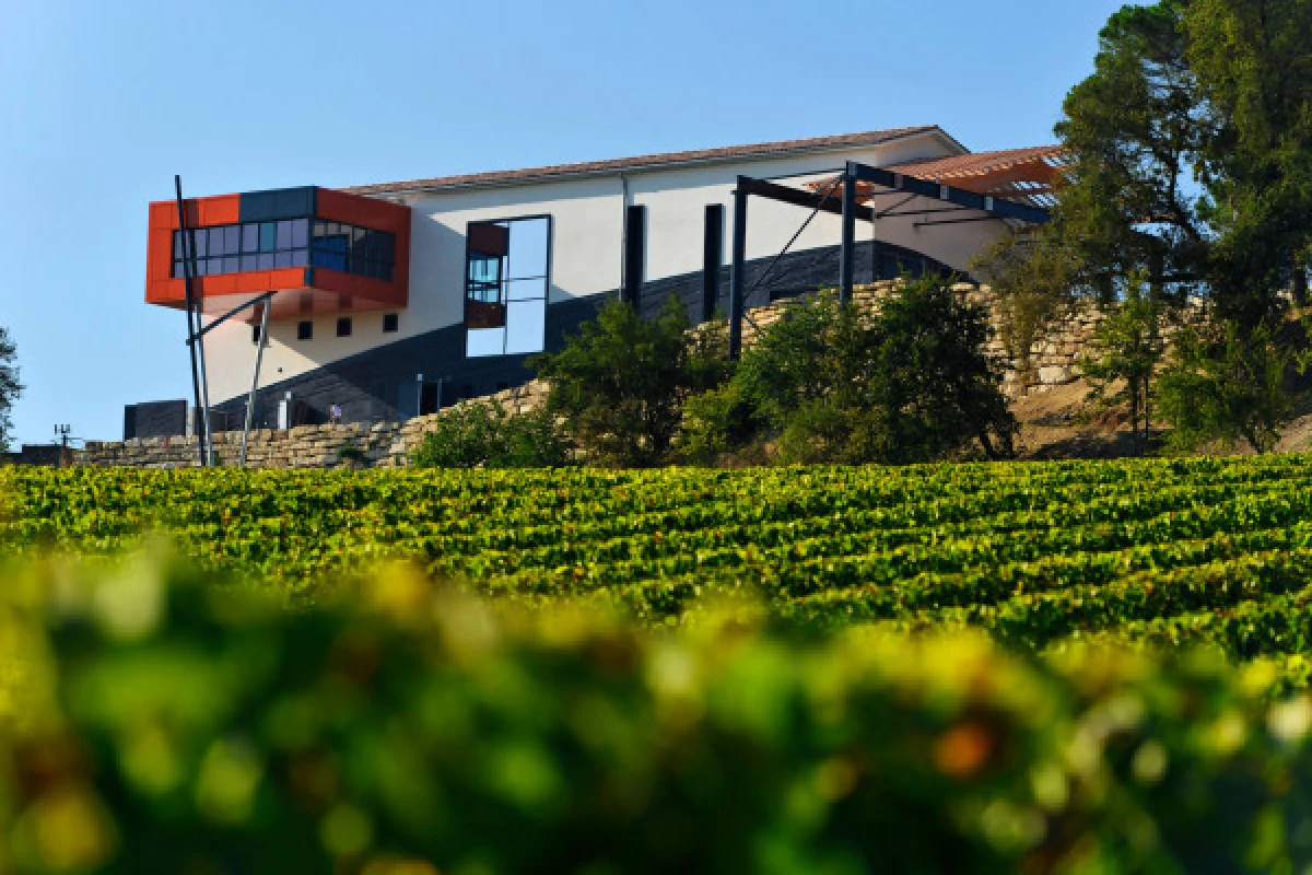 Château La Croizille St-Emilion Grand Cru Classé : Visite & Dégustation en Français - Vignerons Indépendants