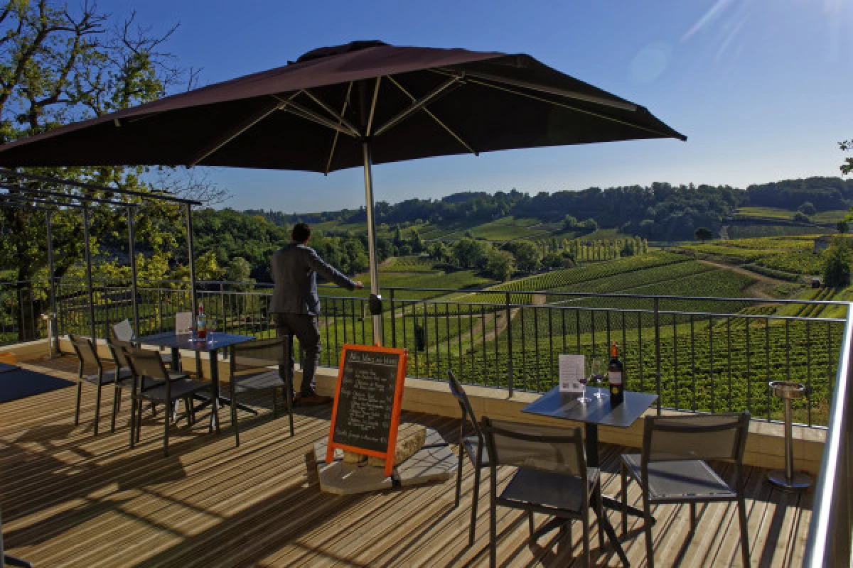 Château La Croizille St-Emilion Grand Cru Classé : Visite & Dégustation en Français - Vignerons Indépendants