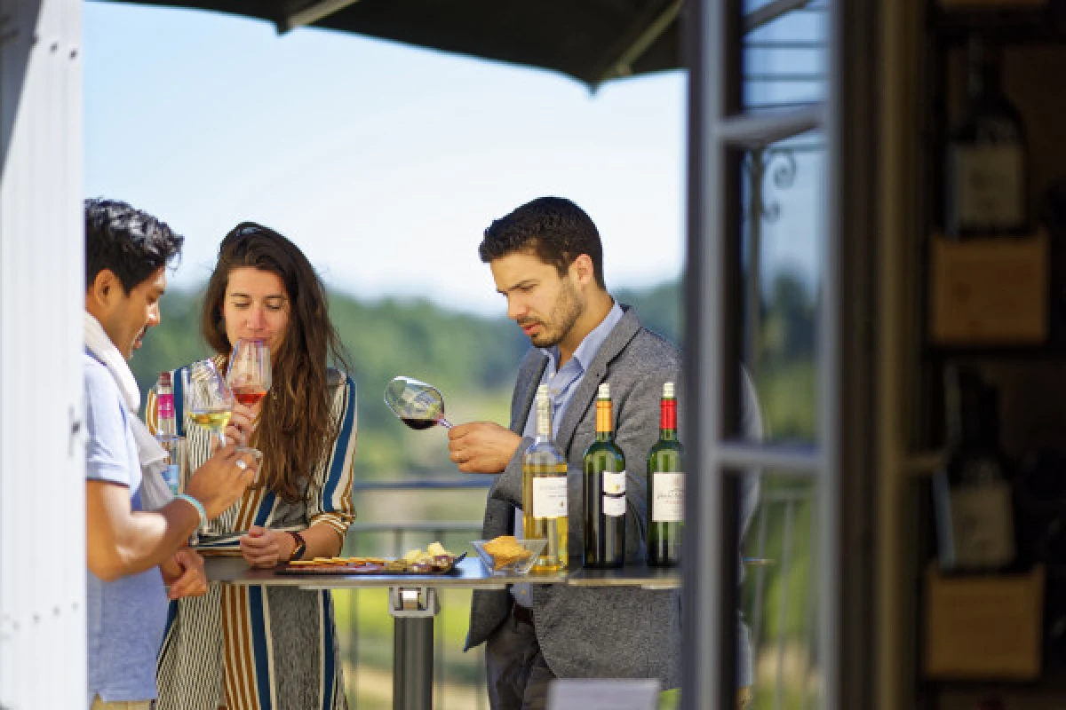 Château La Croizille St-Emilion Grand Cru Classé : Visite & Dégustation Gourmande - Vignerons Indépendants