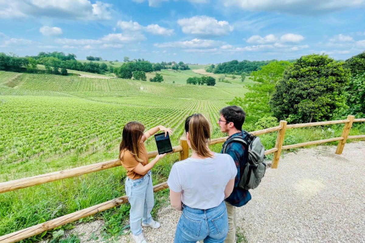 Château La Croizille St-Emilion Grand Cru Classé : Visite Nature & Terroir en Français - Vignerons Indépendants