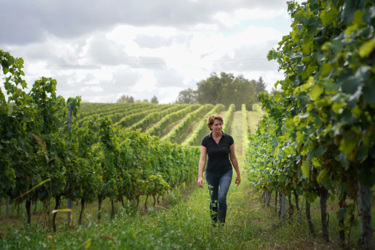 Château Lestrille - Visite & Dégustation - Vignerons Indépendants