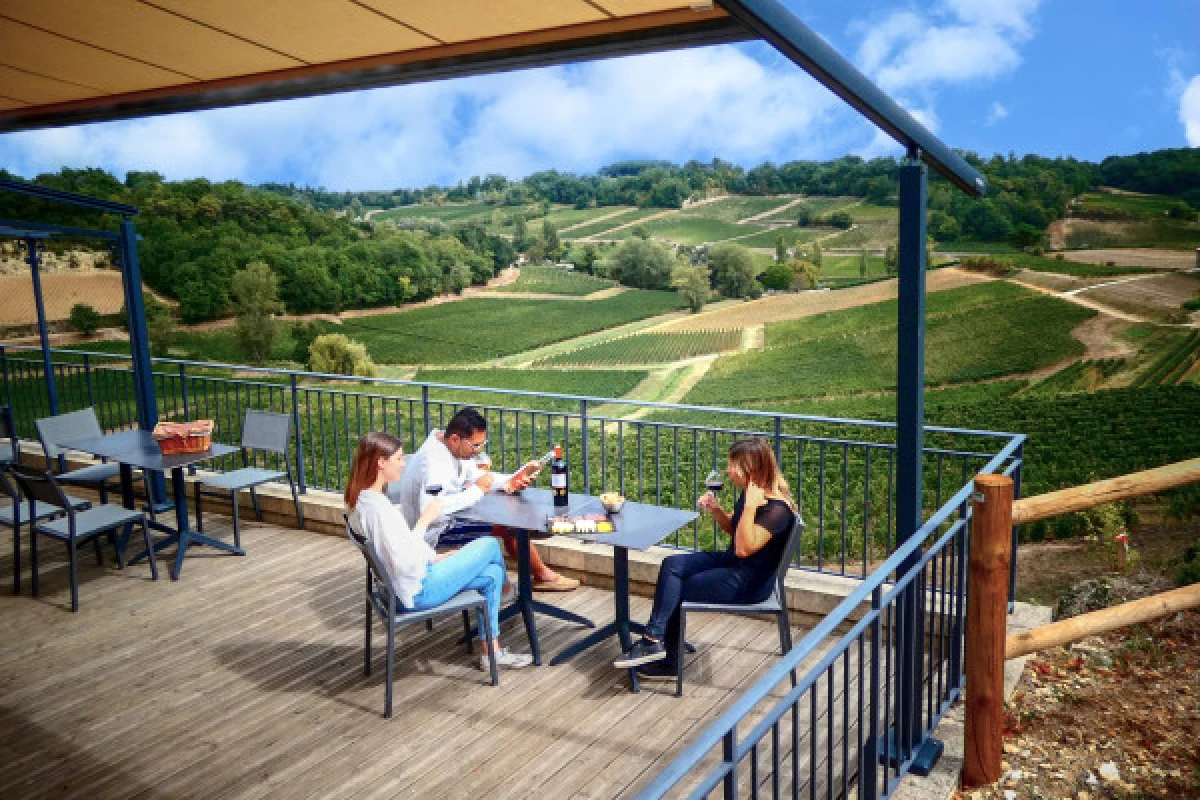 Chateau Tour Baladoz : Dégustation Rive Droite vs Gauche en Français - 6 vins - Vignerons Indépendants