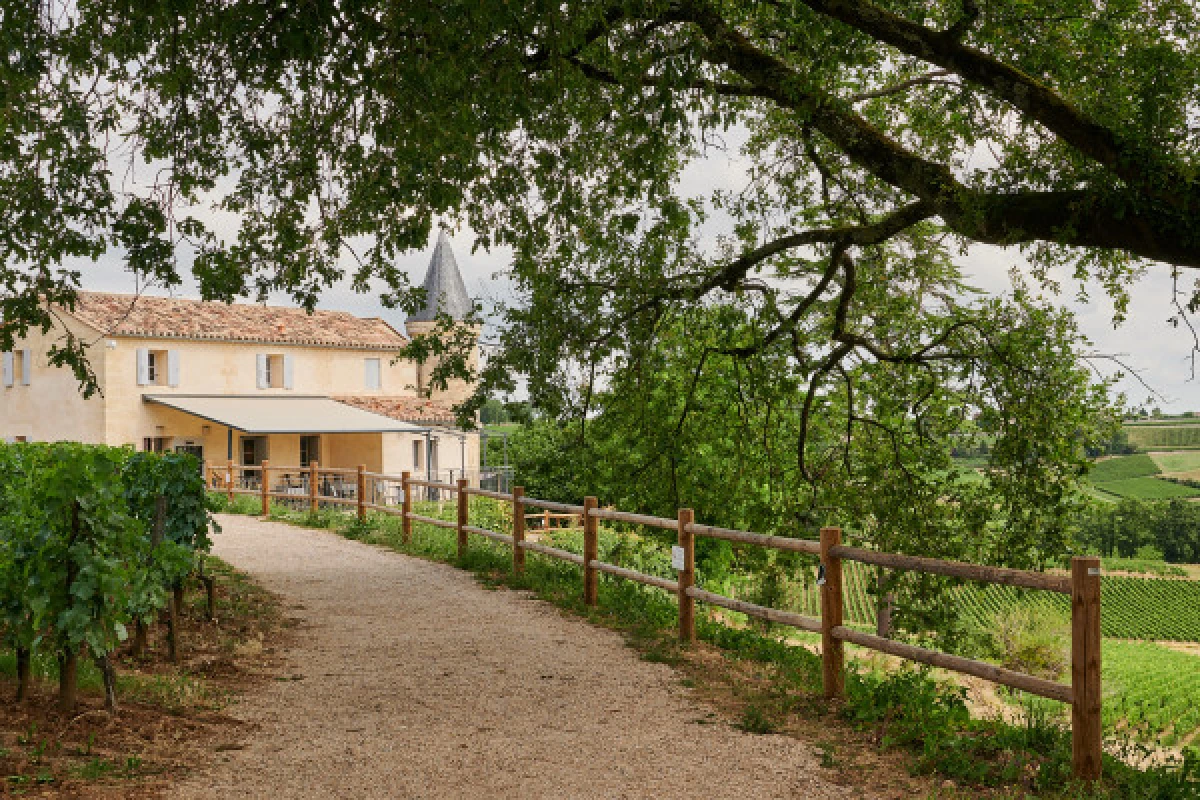 Chateau Tour Baladoz : Dégustation Saint-Emilion Grand Cru - 3 vins - Vignerons Indépendants