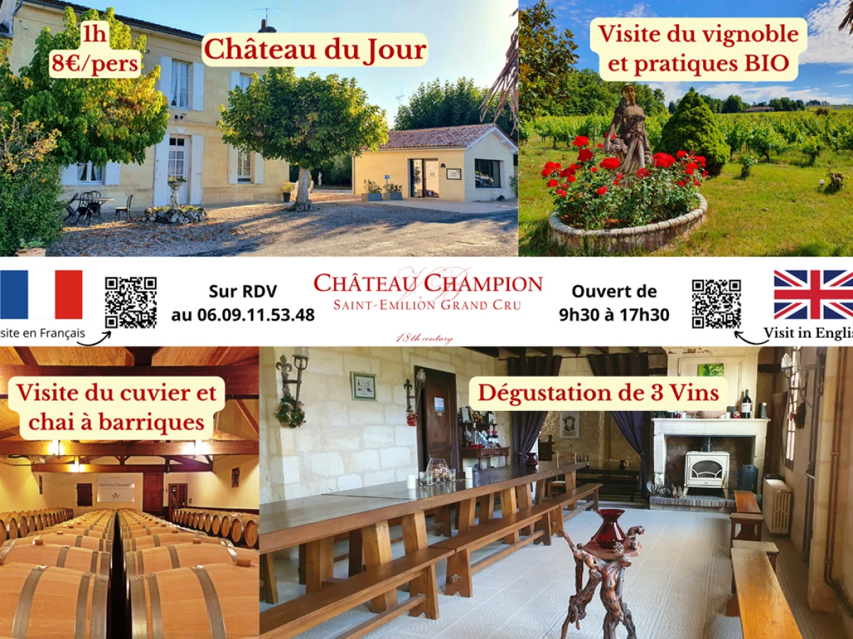 Chateaux of the day English Tour - Vignerons Indépendants