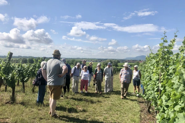 Découverte vigneronne : l'âme d'un domaine - Vignerons Indépendants