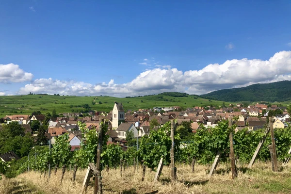 Découverte vigneronne : l'âme d'un domaine - Vignerons Indépendants