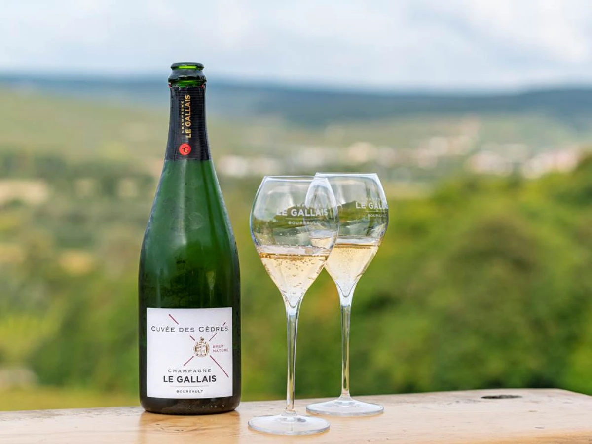 Dégustation commentée de 3 Champagnes - Vignerons Indépendants