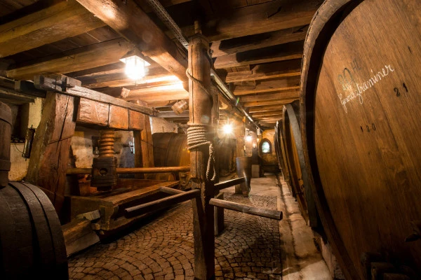 Dégustation de 8 vins et visite de notre vieille cave. - Vignerons Indépendants