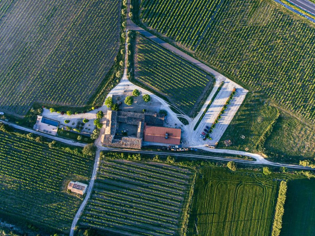 Dégustation - Vignerons Indépendants