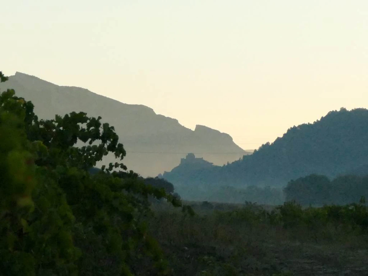 Domaine du Grand Arc - Vignerons Indépendants