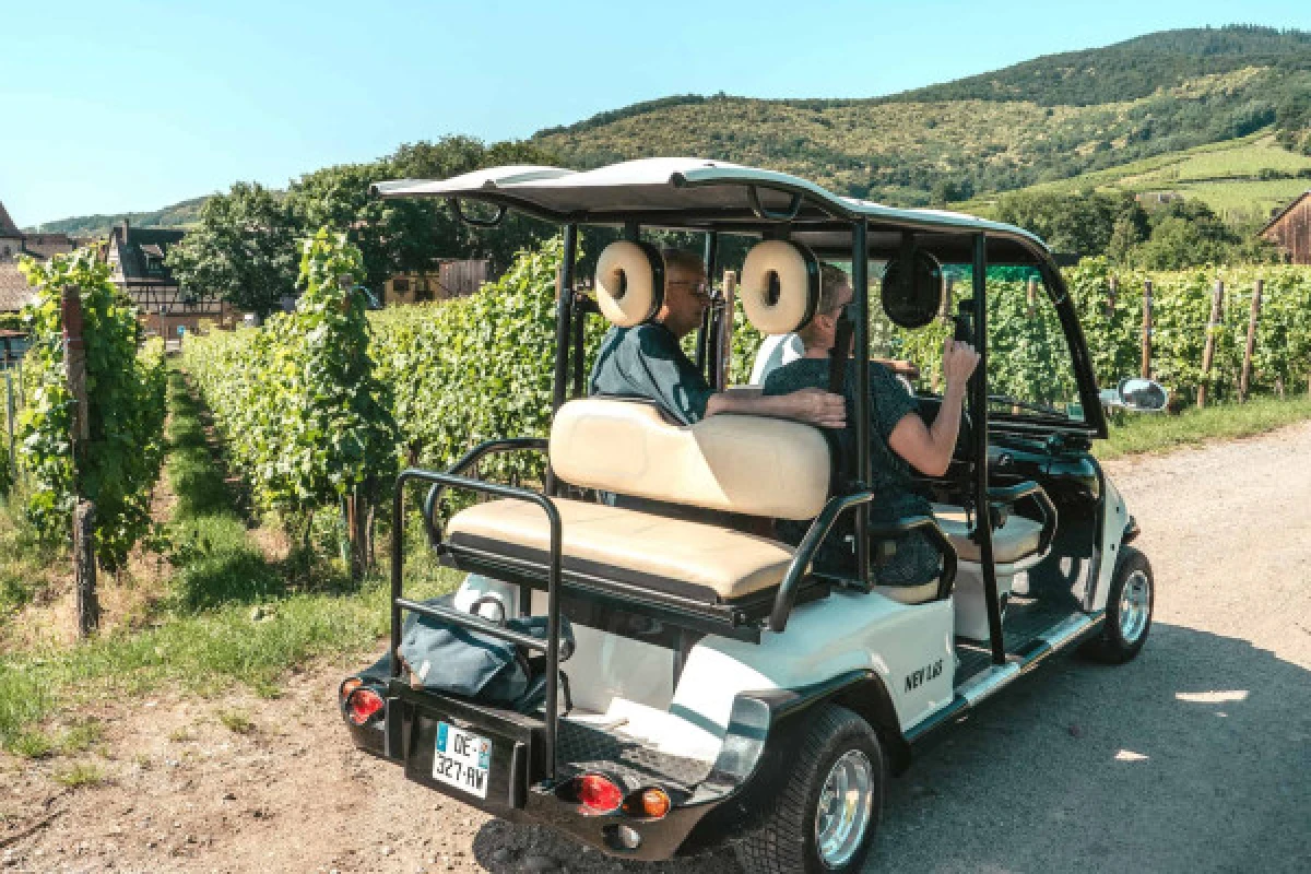 Promenade en véhicule électrique dans le vignoble - Vignerons Indépendants