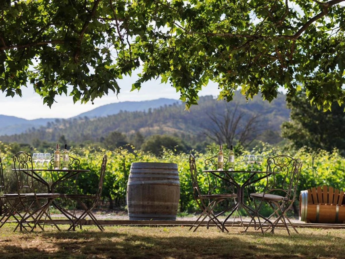 Espace Pique-Nique - Vignerons Indépendants