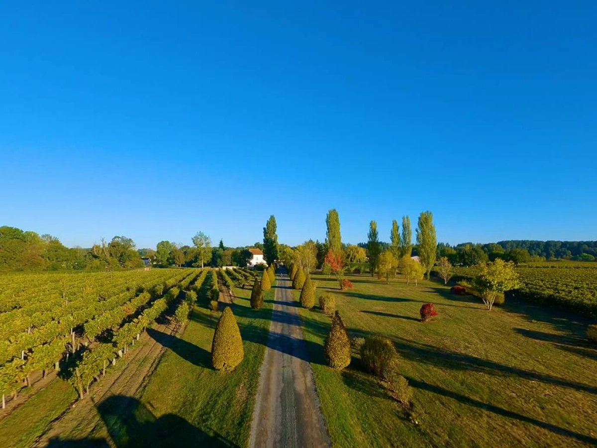 IMMERSION EN TERROIR FAMILIAL - Vignerons Indépendants