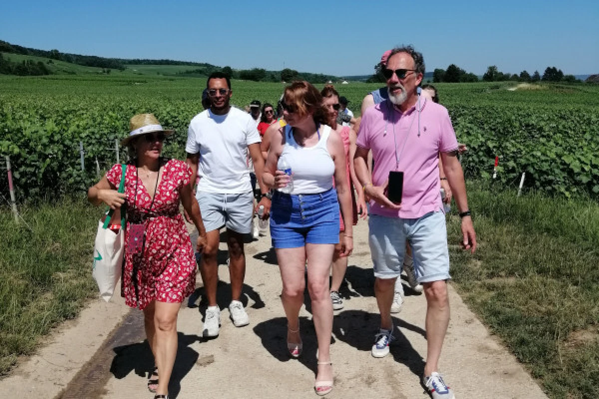 L'Echappée Belle - Balade pédestre & Dégustation - Vignerons Indépendants