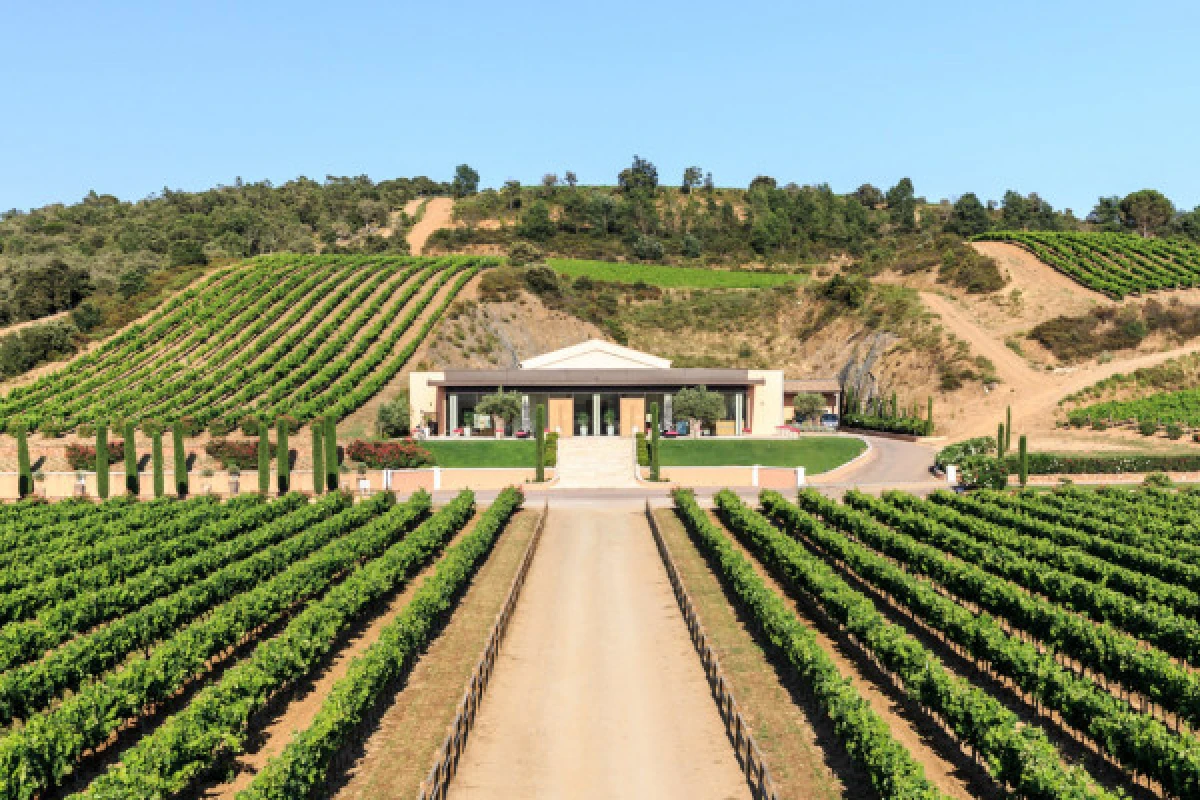 La visite - Vignerons Indépendants