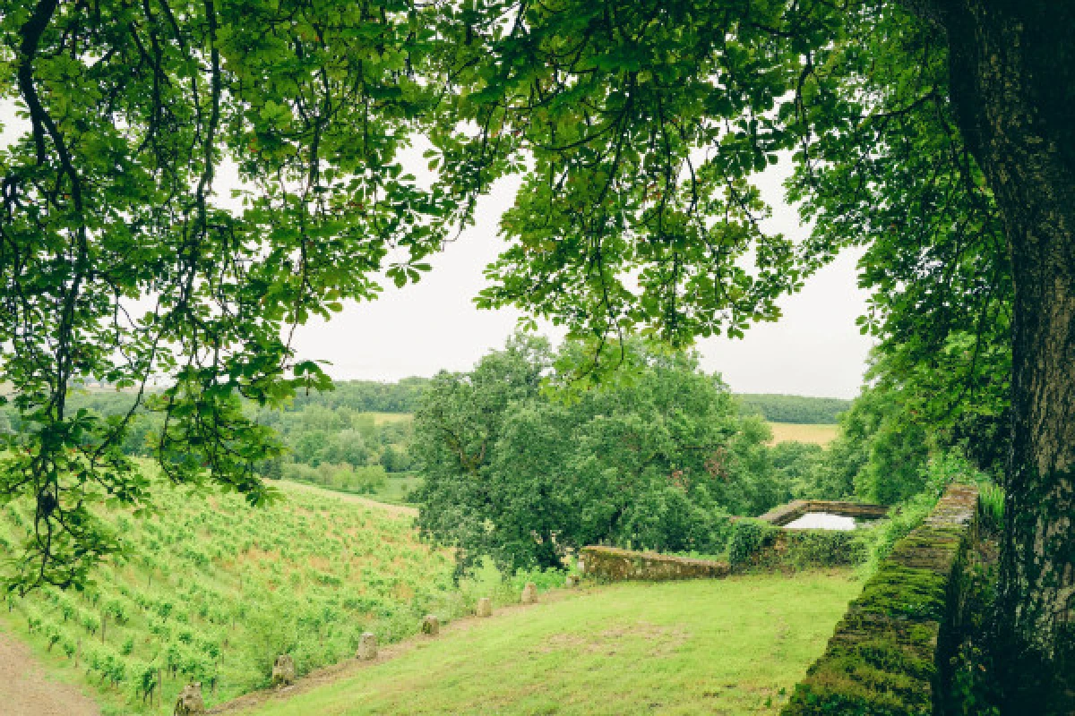 LES SECRETS DU HAUT-ARMAGNAC - Vignerons Indépendants