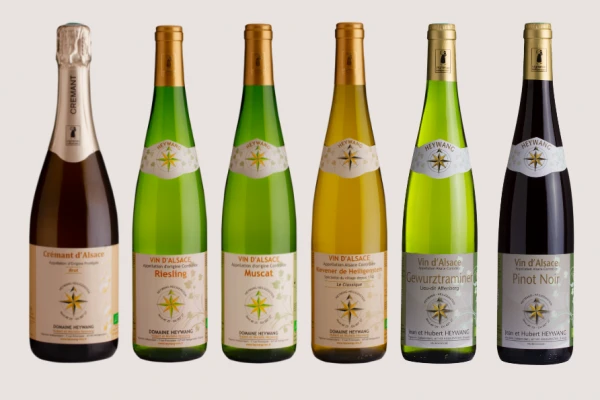 Les vins d'Alsace, tout un univers ! - Vignerons Indépendants