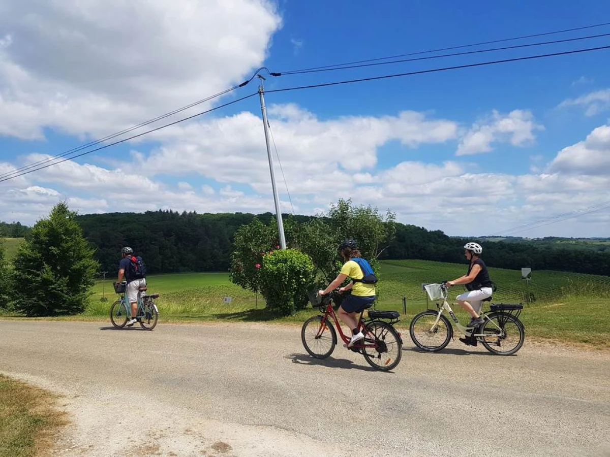 Location de Vélo(s) à Assistance Électrique - Vignerons Indépendants