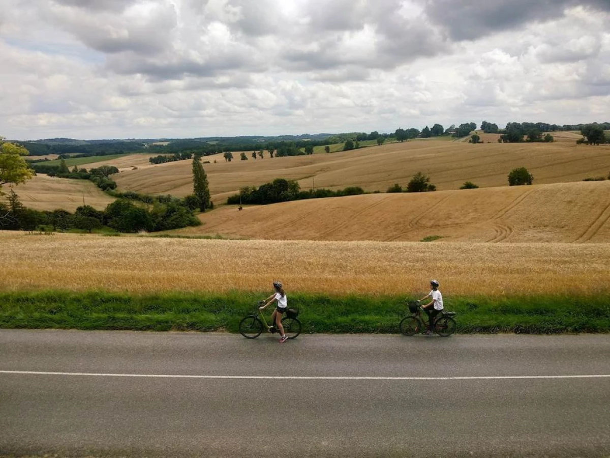 Location de Vélo(s) à Assistance Électrique - Vignerons Indépendants