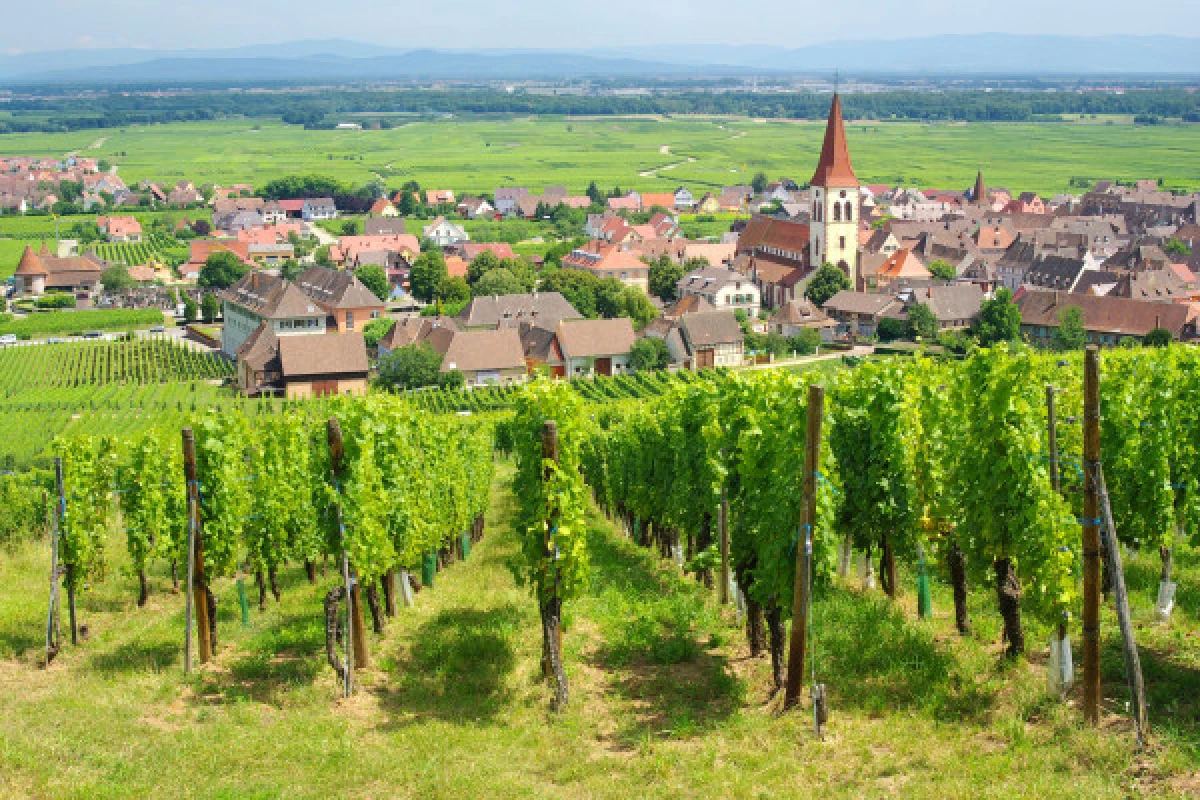 Mini-Rallye Découverte du Vignoble et des Vins - Vignerons Indépendants