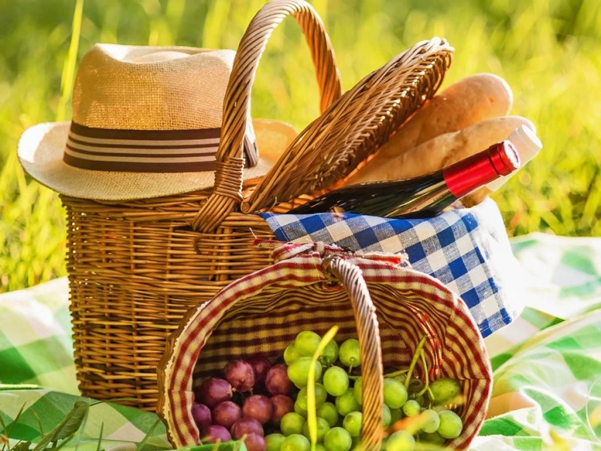 Pic-nic dans les vignes - Vignerons Indépendants