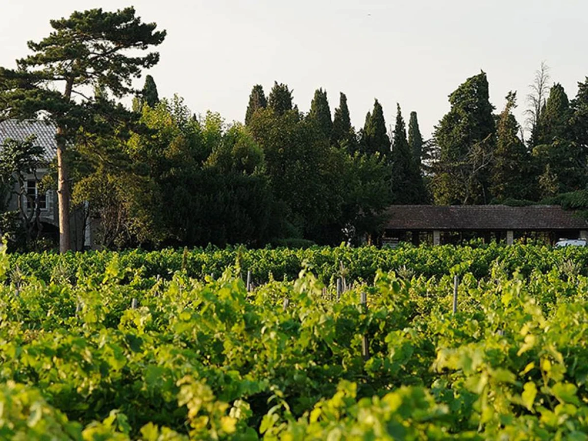 Pic-nic dans les vignes - Vignerons Indépendants