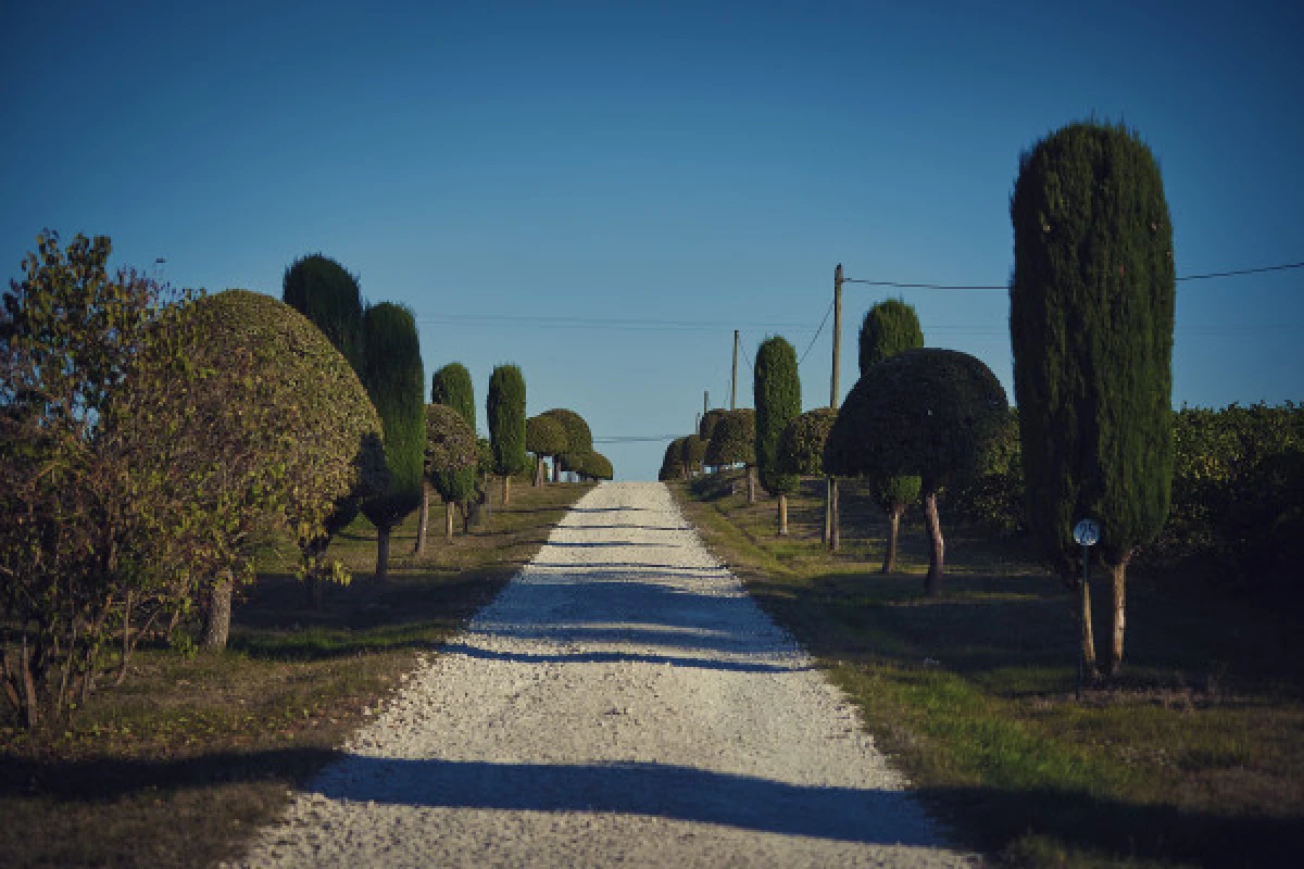 VISITE PRIVÉE - Vignerons Indépendants