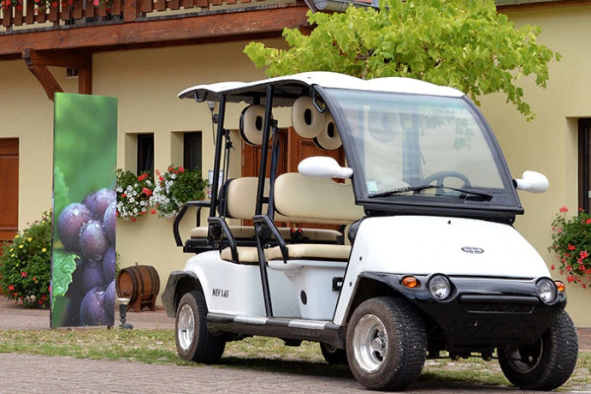 Promenade en véhicule électrique dans le vignoble - Vignerons Indépendants