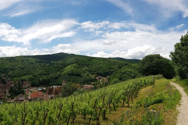 Rencontrez le vigneron dans son élément! - Vignerons Indépendants