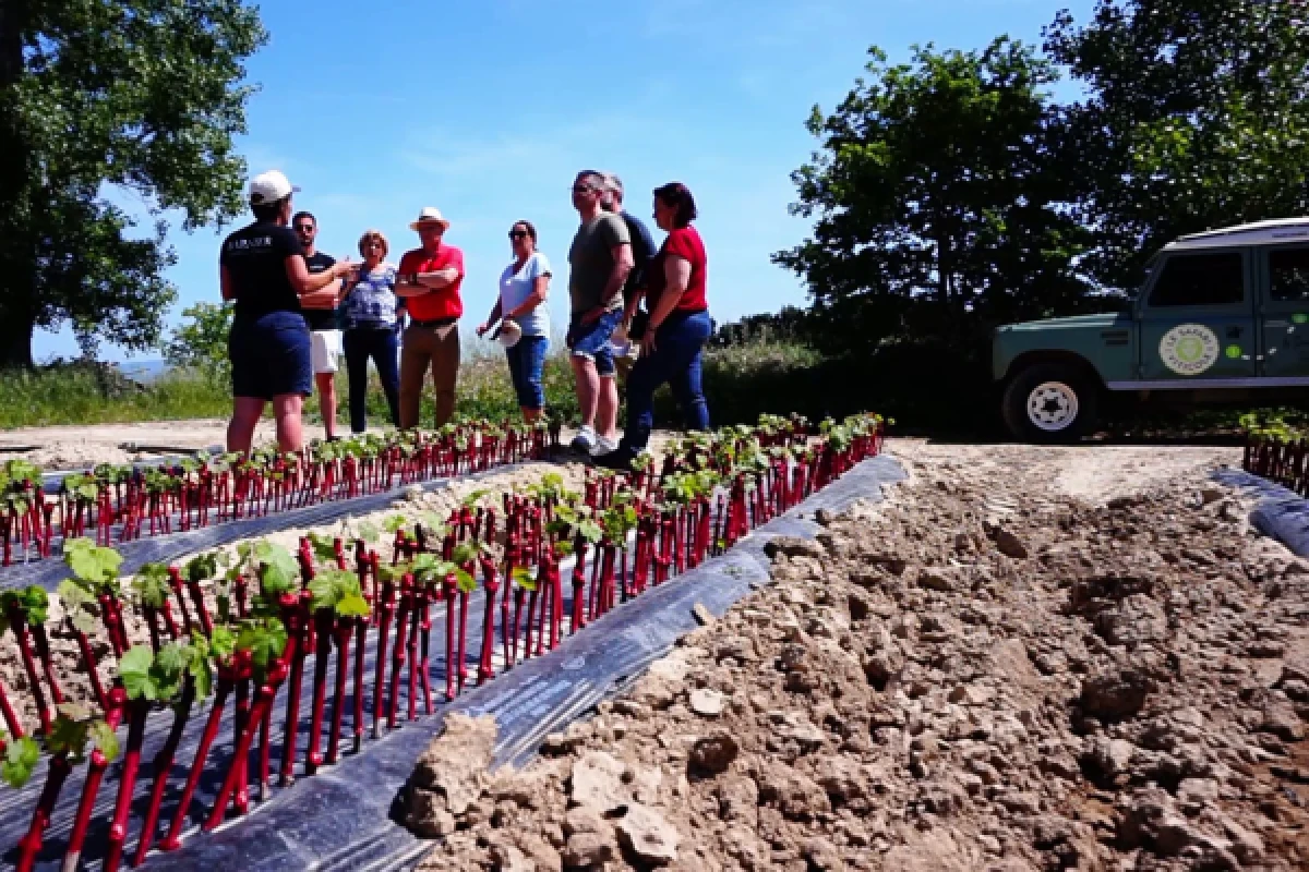 Land Rover Wine Safari - Vignerons Indépendants