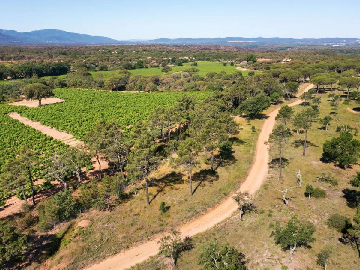 Sentiers balade découverte dans les vignes - Vignerons Indépendants