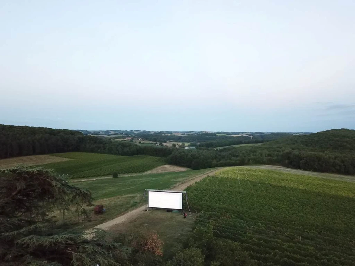 Soirée Cinéma en Plein Air au Coeur du Vignoble - Vignerons Indépendants