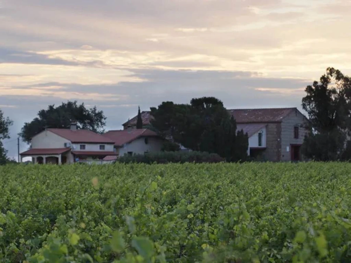 Tarif adulte - Vignerons Indépendants