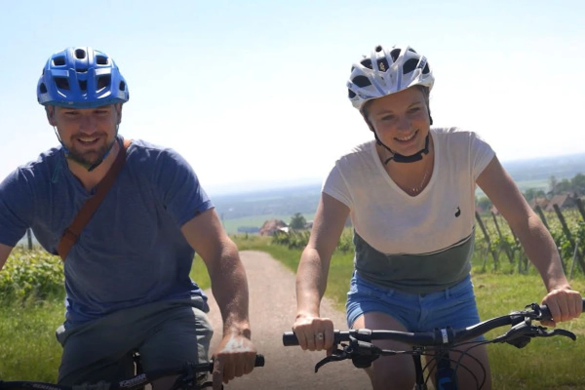 Vélo électrique, Pique-Nique & Vin - Vignerons Indépendants