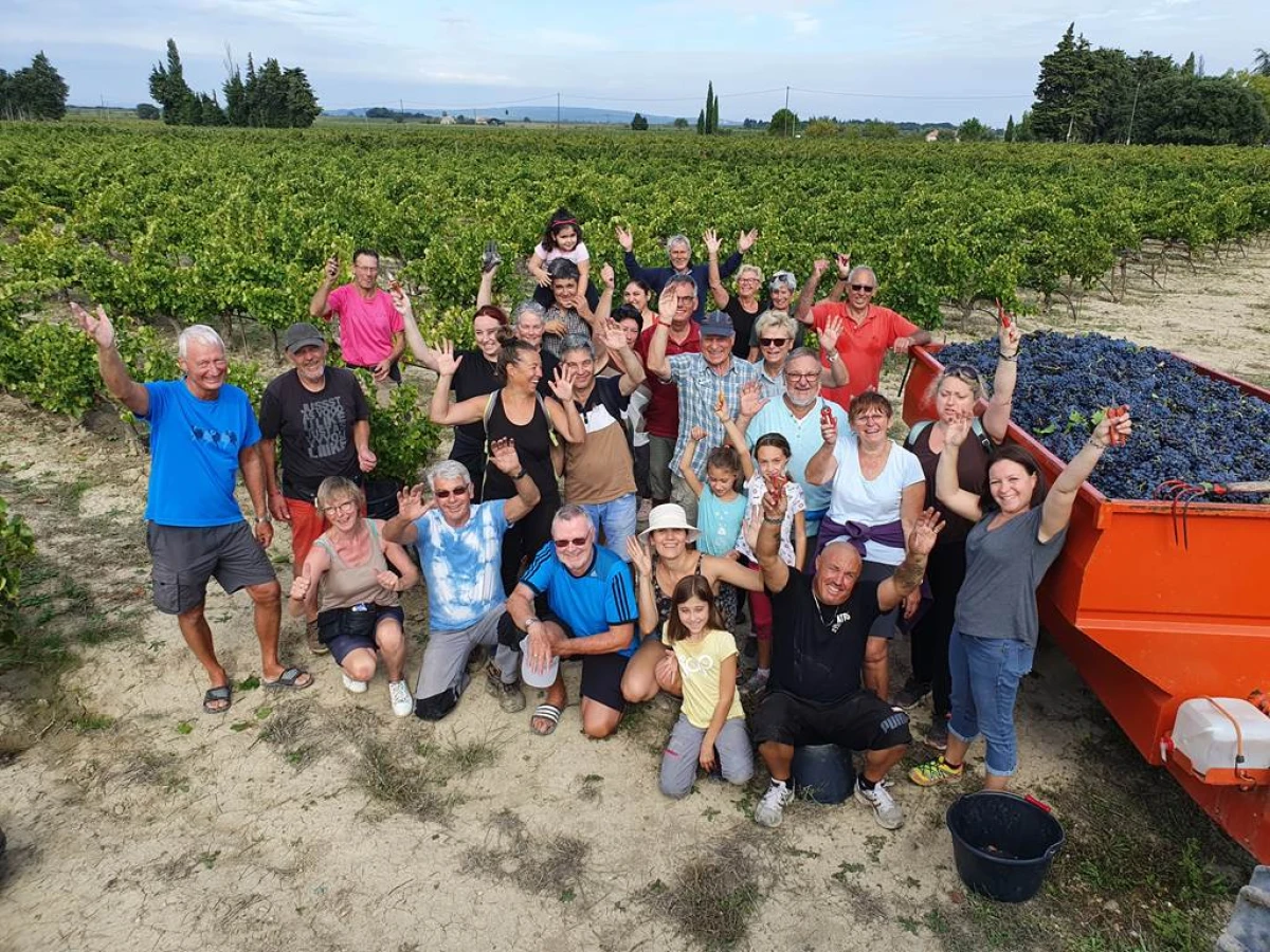 Vendangeur d'un jour - Vignerons Indépendants