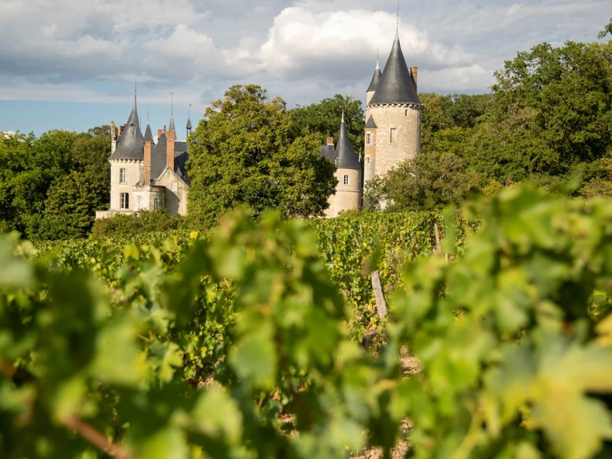 Vendangeur d'un Jour - Vignerons Indépendants