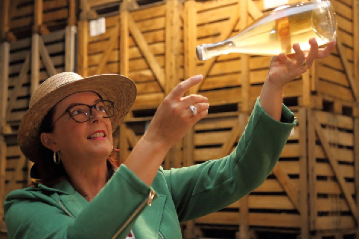 VIP - Dégustations et Visite de cave - Vignerons Indépendants