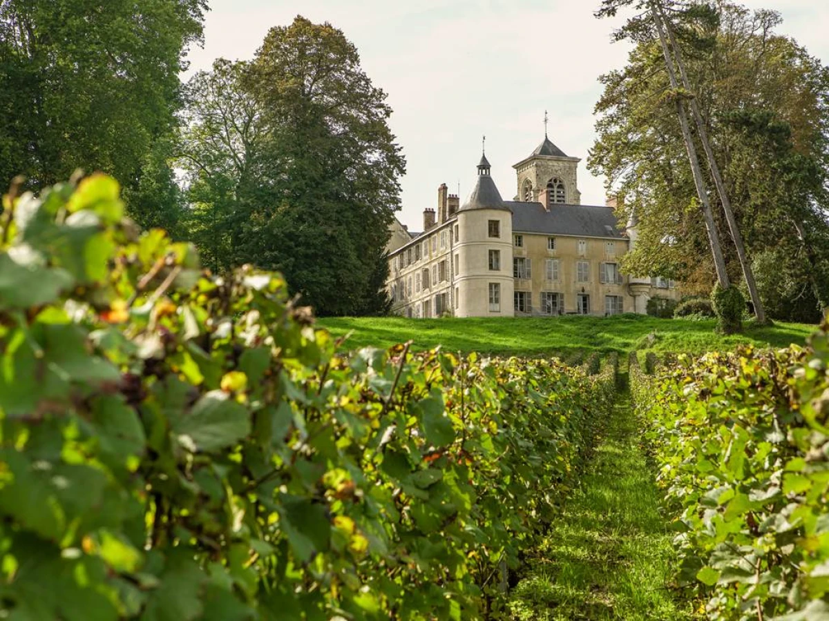 Visite au cœur du Clos familial de Boursault et dégustation de 3 cuvées en français - Vignerons Indépendants