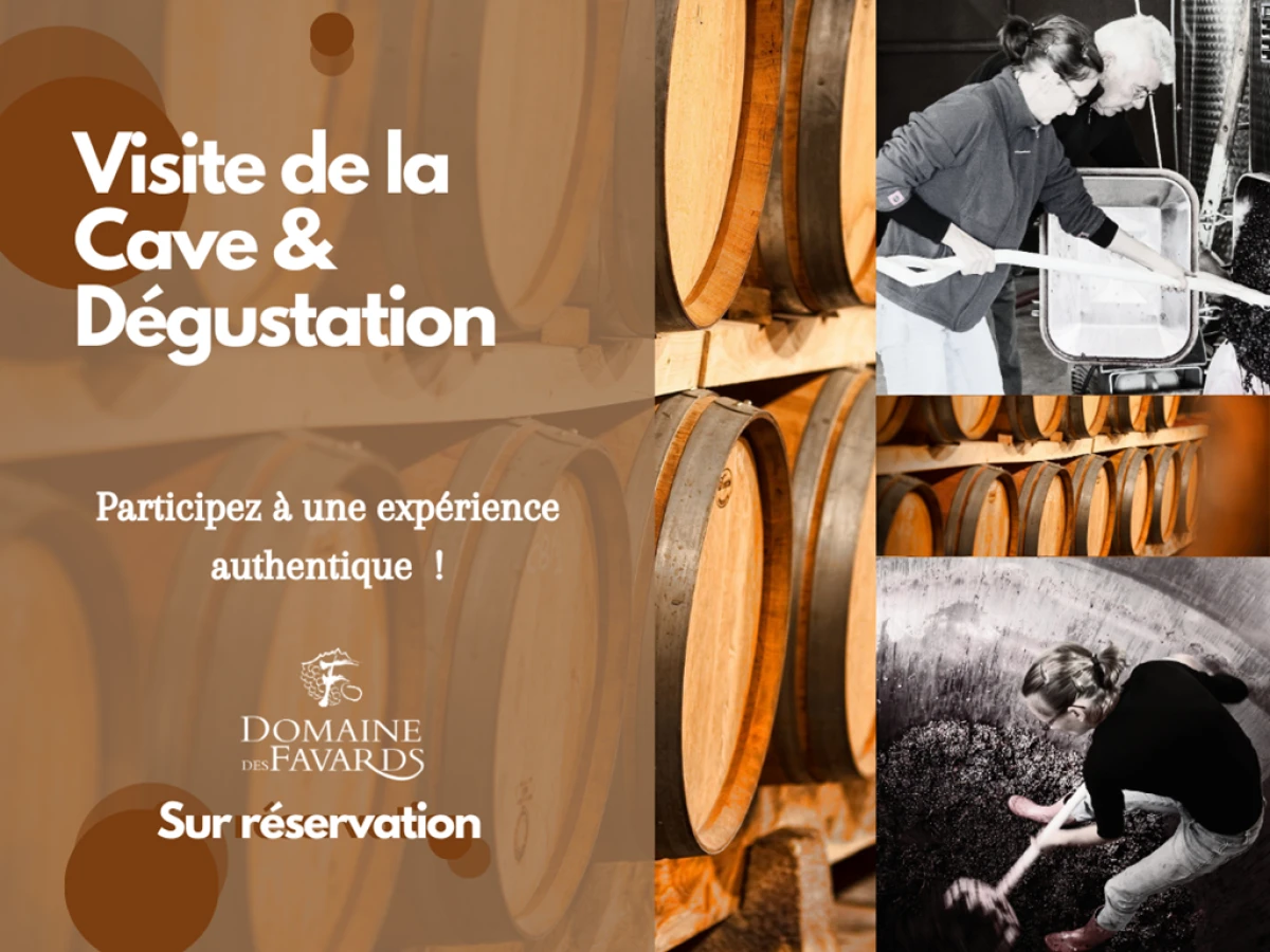 Visite de la cave (chais de vinification) et dégustation - Vignerons Indépendants