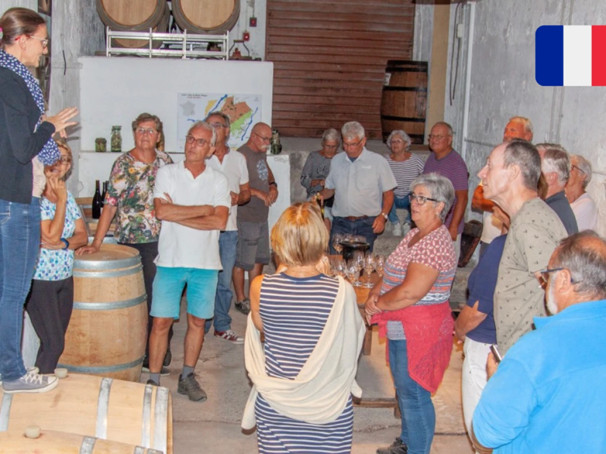 Visite de la cave (chais de vinification) et dégustation - Vignerons Indépendants